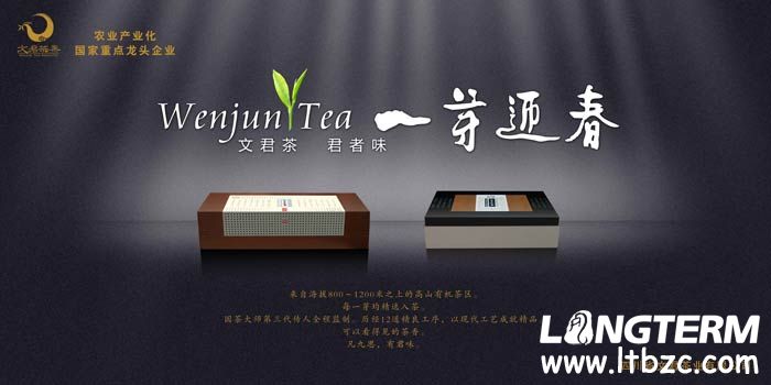 文君茶宣传海报设计